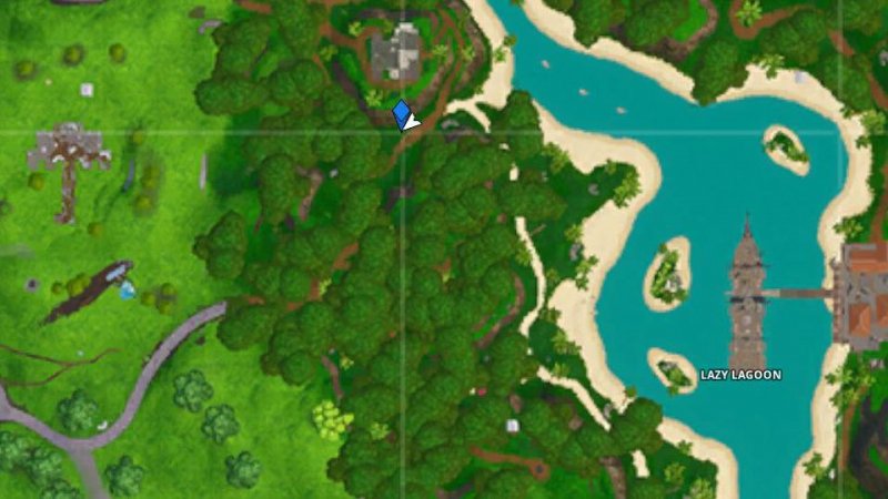 Fortnite Stendardo Segreto Settimana 6 Stagione 8 1