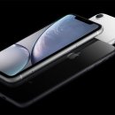 Apple VS FBI: la società non ha sbloccato gli iPhone durante le indagini