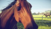 Rival Stars Horse Racing - Trailer di lancio