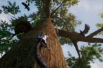 Away: The Survival Series annunciato per PS4 e PC - Notizia
