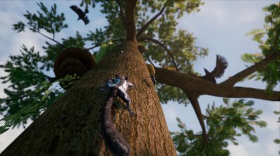 Away: The Survival Series