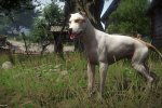 Kingdom Come: Deliverance 2 dovrebbe essere l'annuncio di Warhorse Studios, per alcuni informatori - Notizia