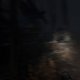 Blair Witch - Trailer d'annuncio E3 2019