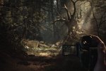 Blair Witch, il gioco avrà una risoluzione a 4K HDR su Xbox One X - Notizia