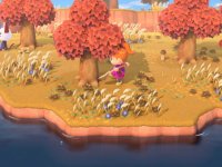 L'aggiornamento 3.0 di Animal Crossing: New Horizons è scaricabile in anticipo