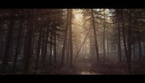 Blair Witch - Trailer "Through the Woods"