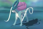 Pokémon GO Raid Italia, i ritrovi per il Suicune Day del 17 agosto 2019 - Notizia