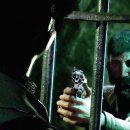 Call of Cthulhu su Nintendo Switch, video di gameplay e confronto con PS4