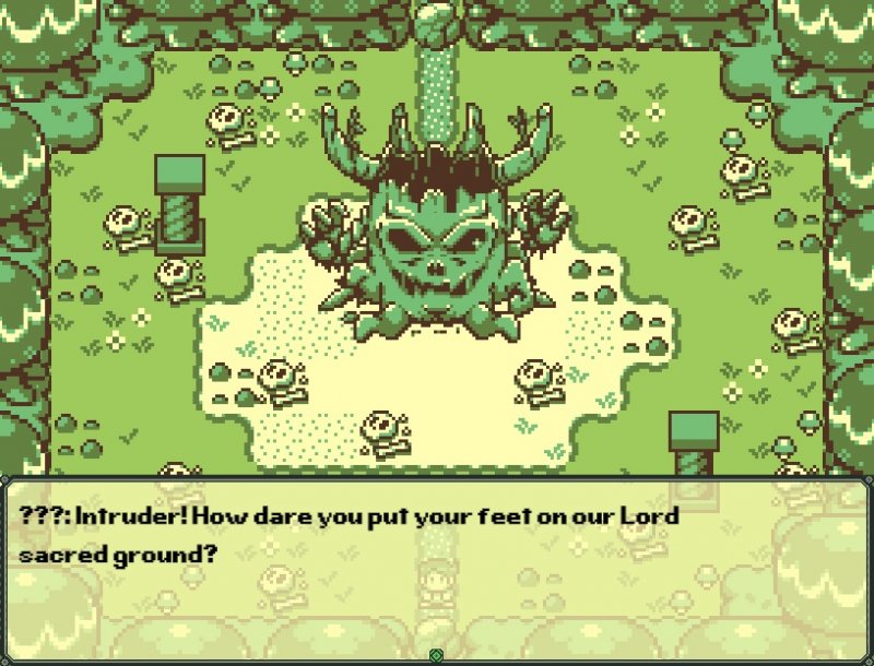 Timothy and the Mysterious Forest