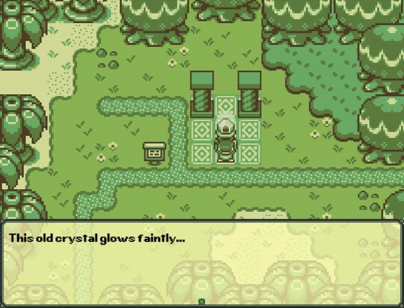 Timothy and the Mysterious Forest