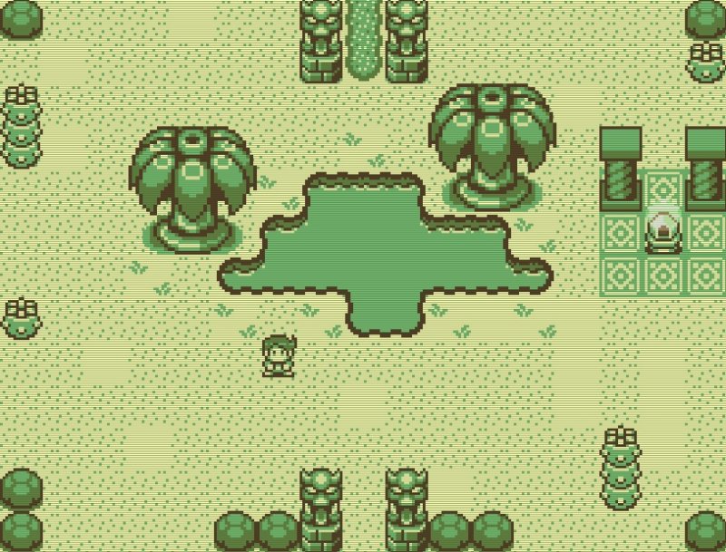 Timothy and the Mysterious Forest