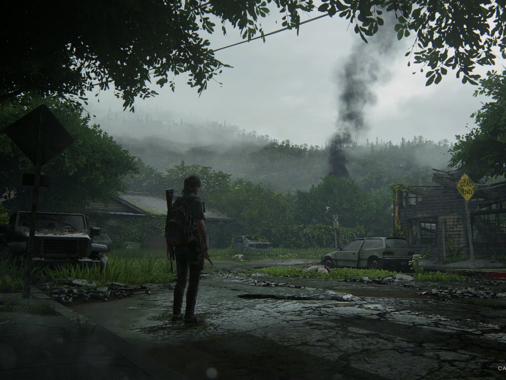 The Last of Us, a story in images
