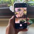 iPhone 11 Pro: le radiazioni superano due volte i limiti di legge, secondo uno studio