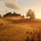 Red Dead Redemption 2 potrebbe avere una versione nativa per PS5 in sviluppo