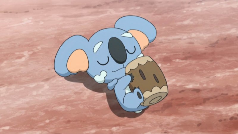 Samson Oak Komala Samson Oak Komala