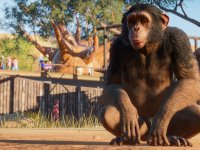 Planet Zoo, la recensione