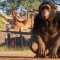 Planet Zoo è disponibile a prezzo scontato su Instant Gaming