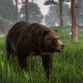 Planet Zoo avrà un seguito: la conferma arriva direttamente dagli sviluppatori