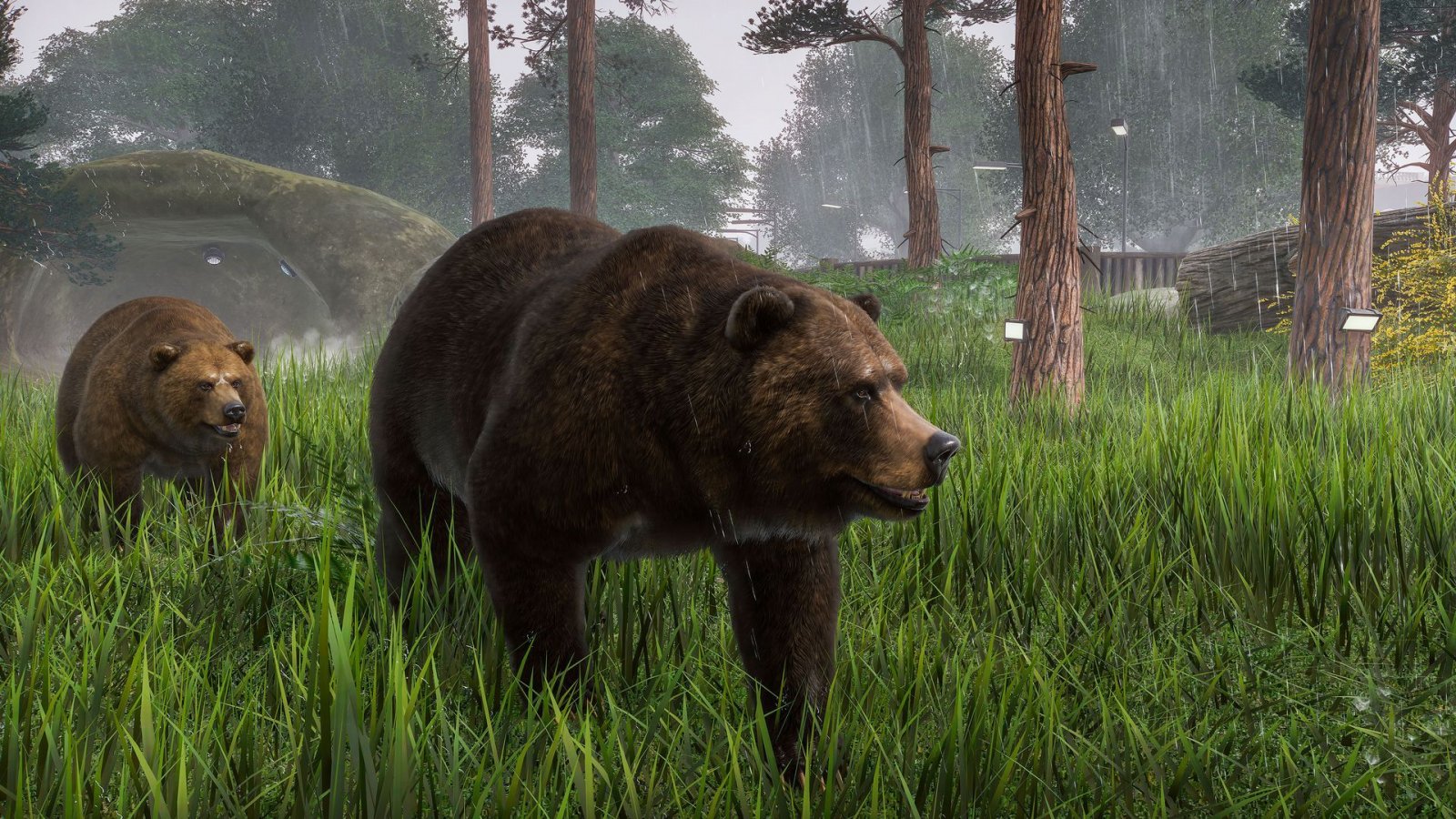 Degli orsi di Planet Zoo