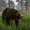 Planet Zoo avrà un seguito: la conferma arriva direttamente dagli sviluppatori