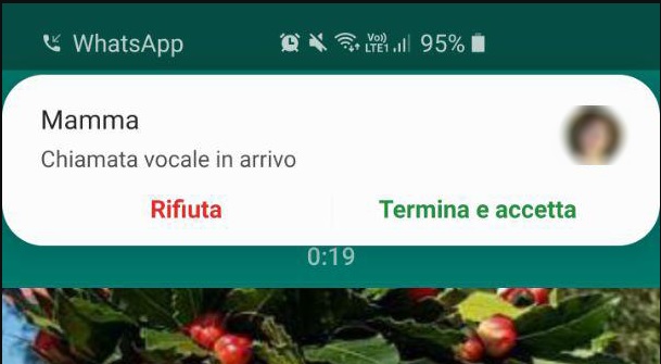 Whatsapp Avvisi Chiamata 1
