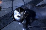 Skyrim, un gatto come compagno d'avventure? È possibile grazie ad una mod - Notizia