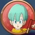Bulma Se Bulma Se