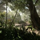 Battlefield 5 Capitolo 6: Into the Jungle verrà presentato oggi, guardatelo in diretta