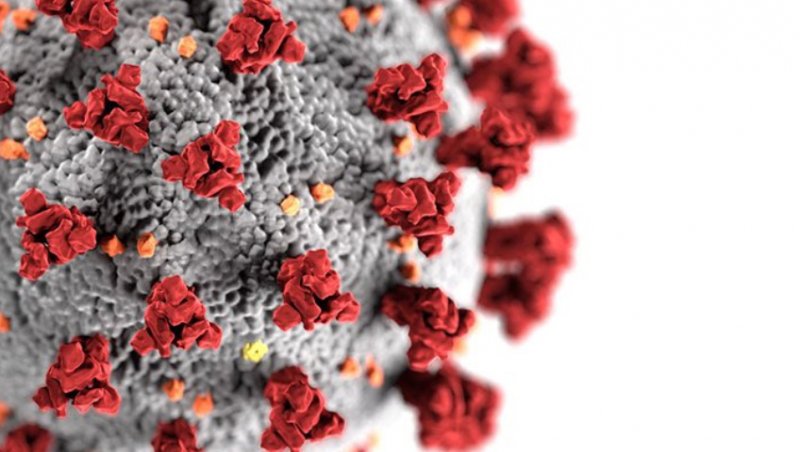 Coronavirus Covid 19 Videogioco