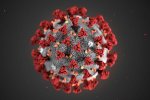 Call of Duty: Warzone e Coronavirus: boom di connessioni in Italia, rete in affanno - Notizia