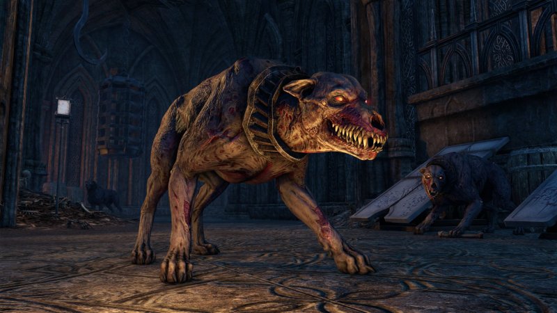 The Elder Scrolls Online: Greymoor