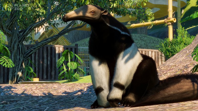 Planet Zoo: South America Pack