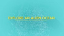 In Other Waters - Teaser Trailer