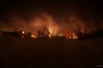 The Last of Us 2: su di una pagina di Death Stranding fanno un commento infelice - Notizia
