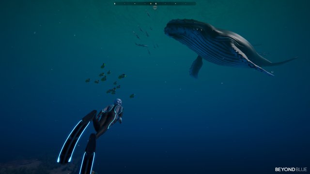 Beyond Blue