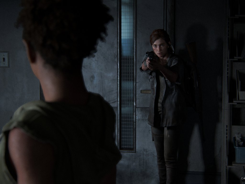 The Last of Us 2, many of the spoilers are simply fakes