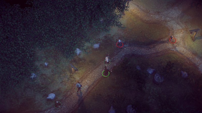 The Dark Eye: Book of Heroes