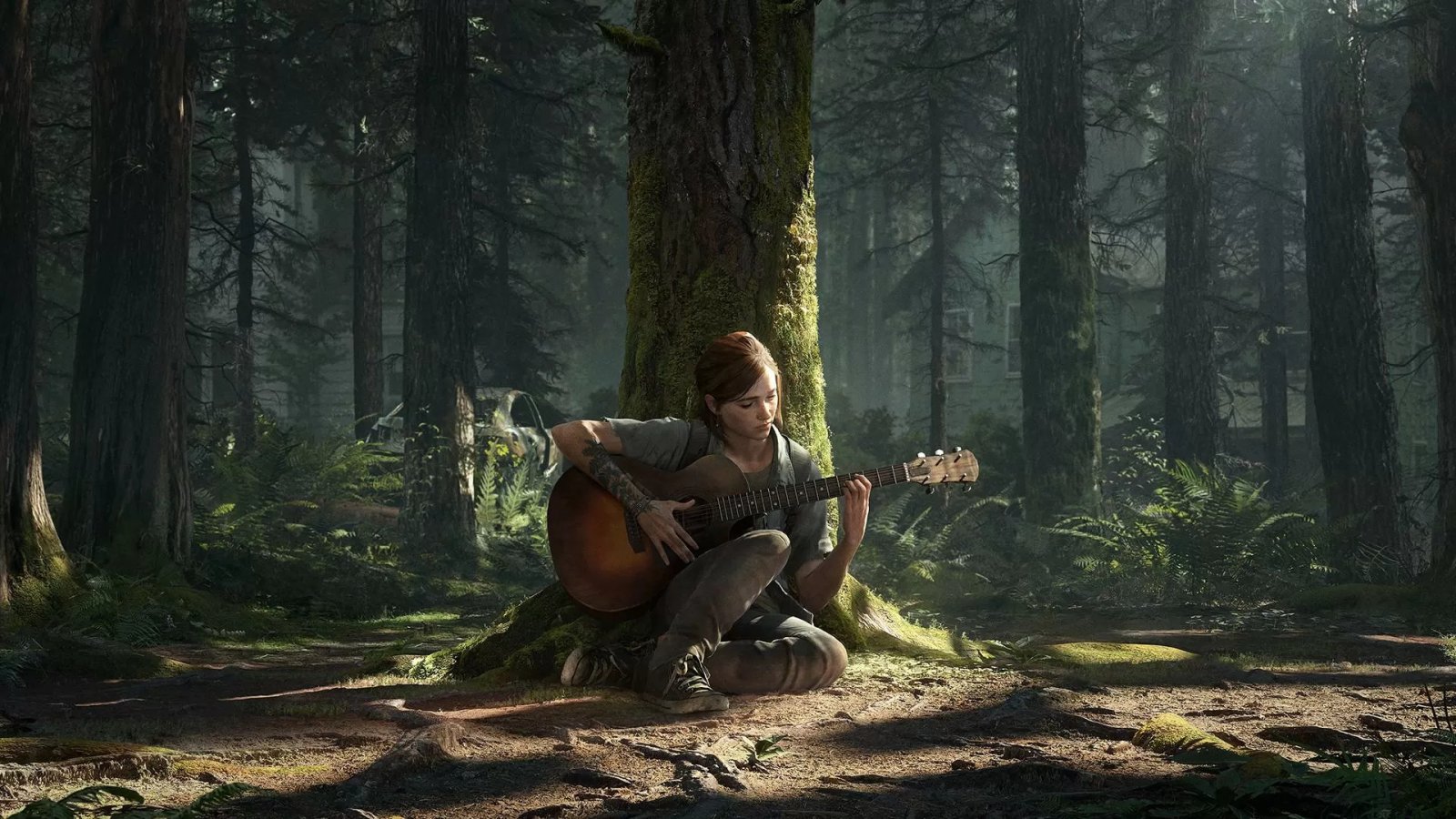 The Last of Us 2, guida alle carte collezionabili