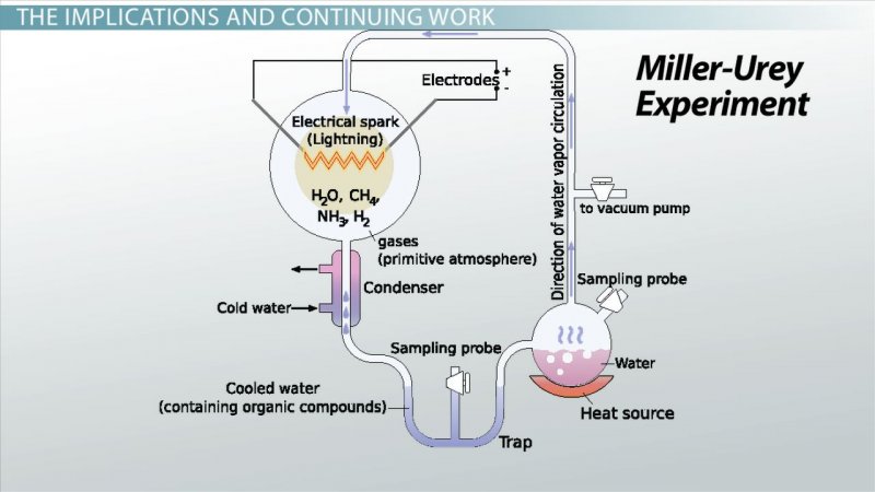 Esperimento Miller Esperimento Miller