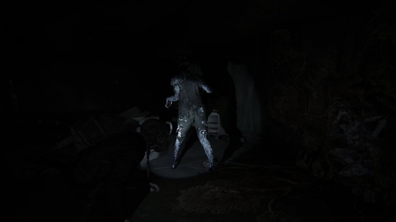 The Last Of Us Parte Ii Speciale Update 01