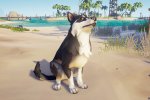 Sea of Thieves, i cani faranno il proprio debutto con il prossimo aggiornamento - Notizia