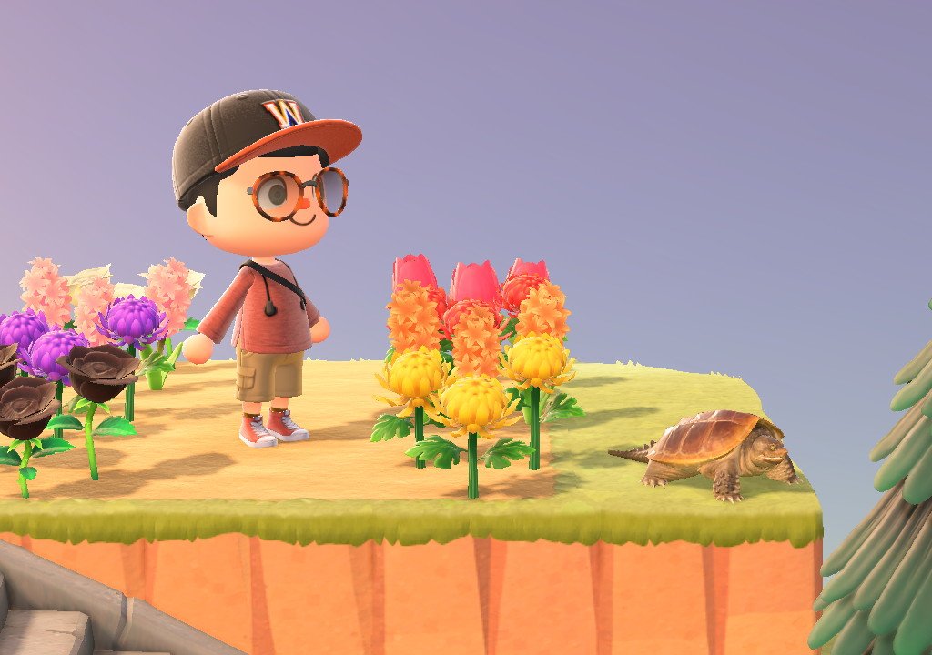 Animal Crossing: New Horizons, which animals to catch before the end of September