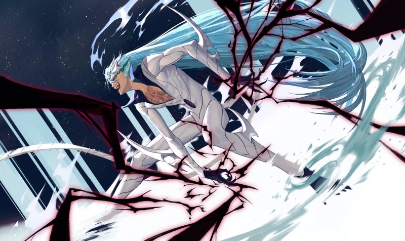 One Piece Bleach Zoro Grimmjow 1