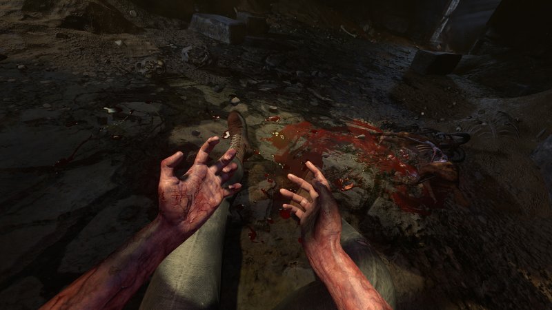 Immagine di Amnesia: Rebirth per PC Windows