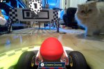 Mario Kart Live Home Circuit è il terrore dei gattini, come mostra questo filmato - Notizia