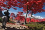 Ghost of Tsushima: i fan organizzano l'evento 'Ritorno a Tsushima' - Notizia