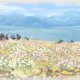 Valkyria Chronicles 4: Complete Edition | Stadia - Trailer di annuncio