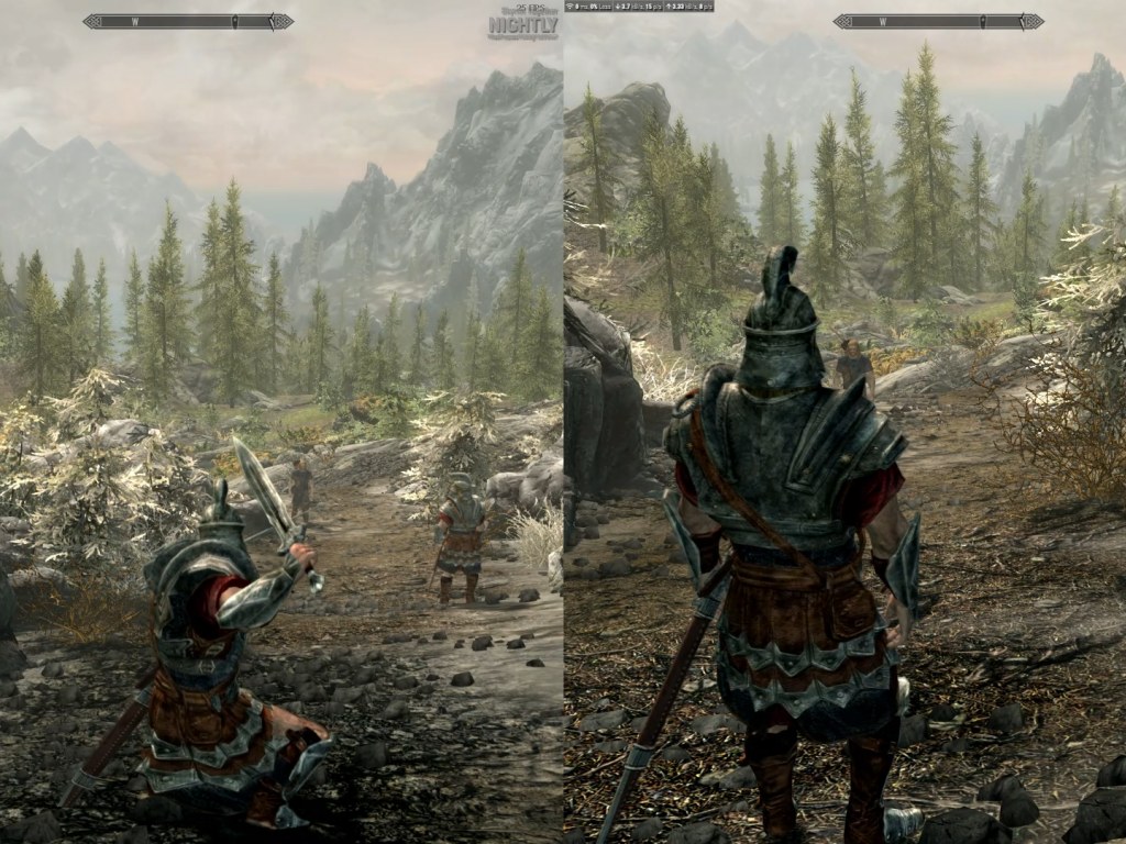 Skyrim is now playable in local co-op thanks to these mods