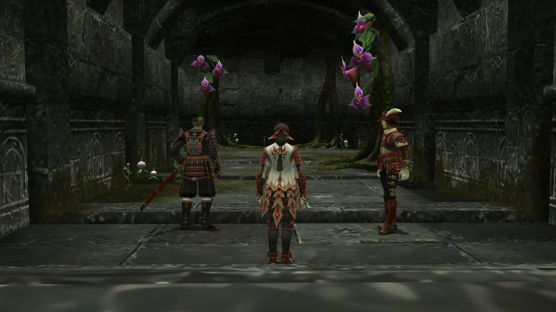 Final Fantasy XI con la mod attiva