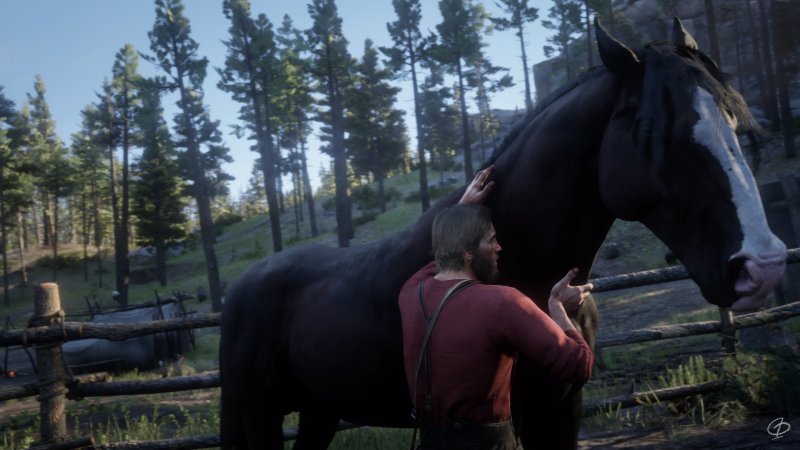 Will the horse descriptions in Red Dead Redemption 2 do the animals justice?